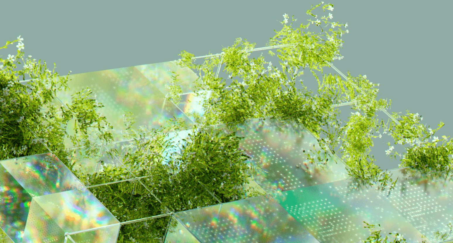 Debunking the Biggest Myths About Crypto's Carbon Footprint