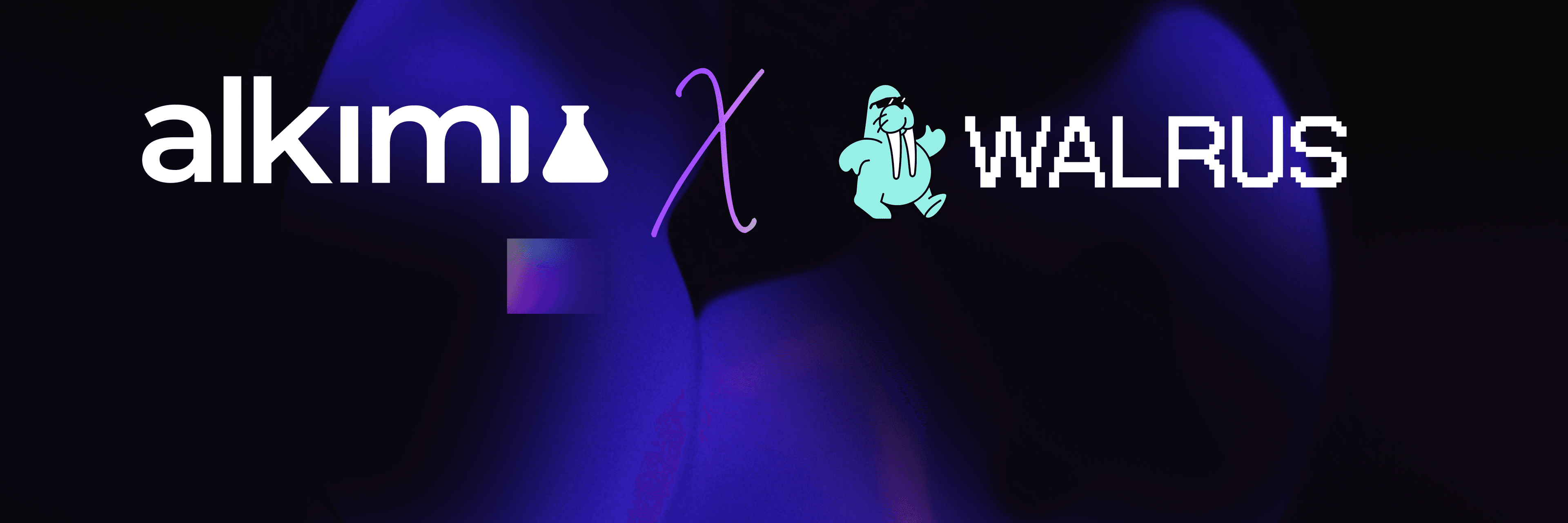 Alkimi X Walrus